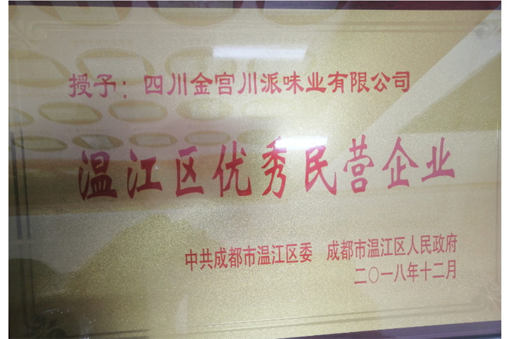 溫江區(qū)優(yōu)秀民營(yíng)企業(yè)
