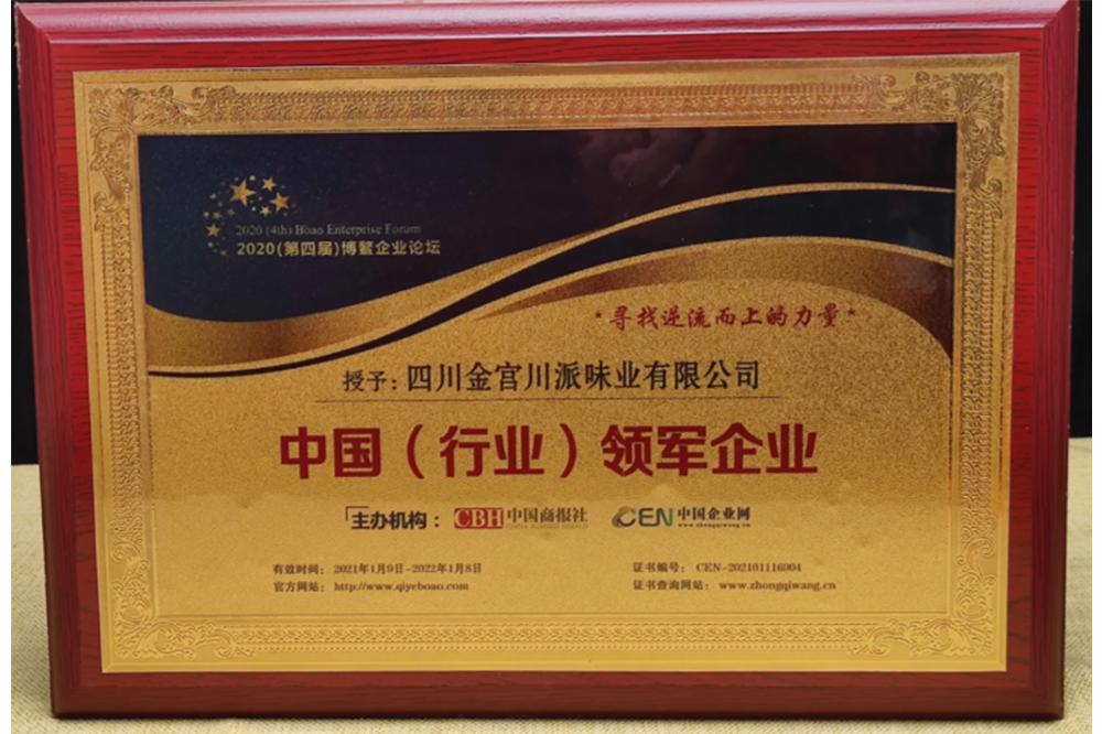 中國(guó)（行業(yè)）領(lǐng)軍企業(yè)